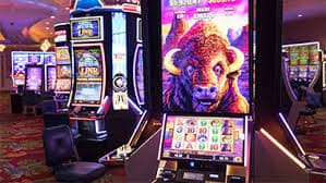 125 f Sportsbook